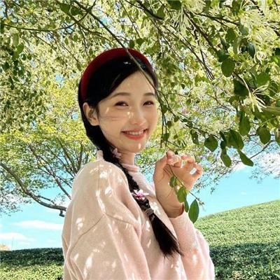 暴龙真相